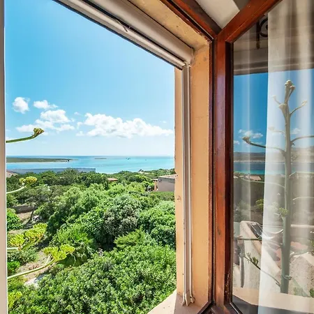 Ginepri Holiday home *